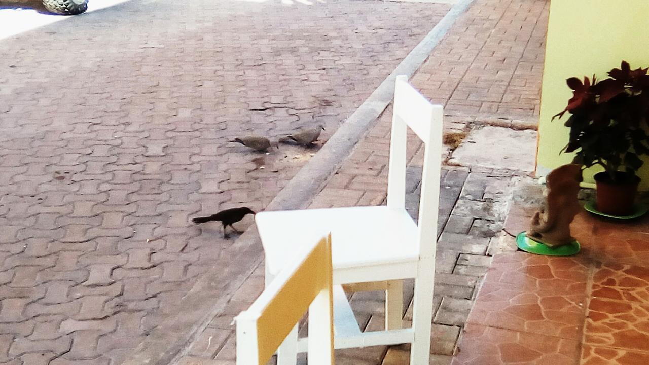 Study El Malecon * Isla Mujeres